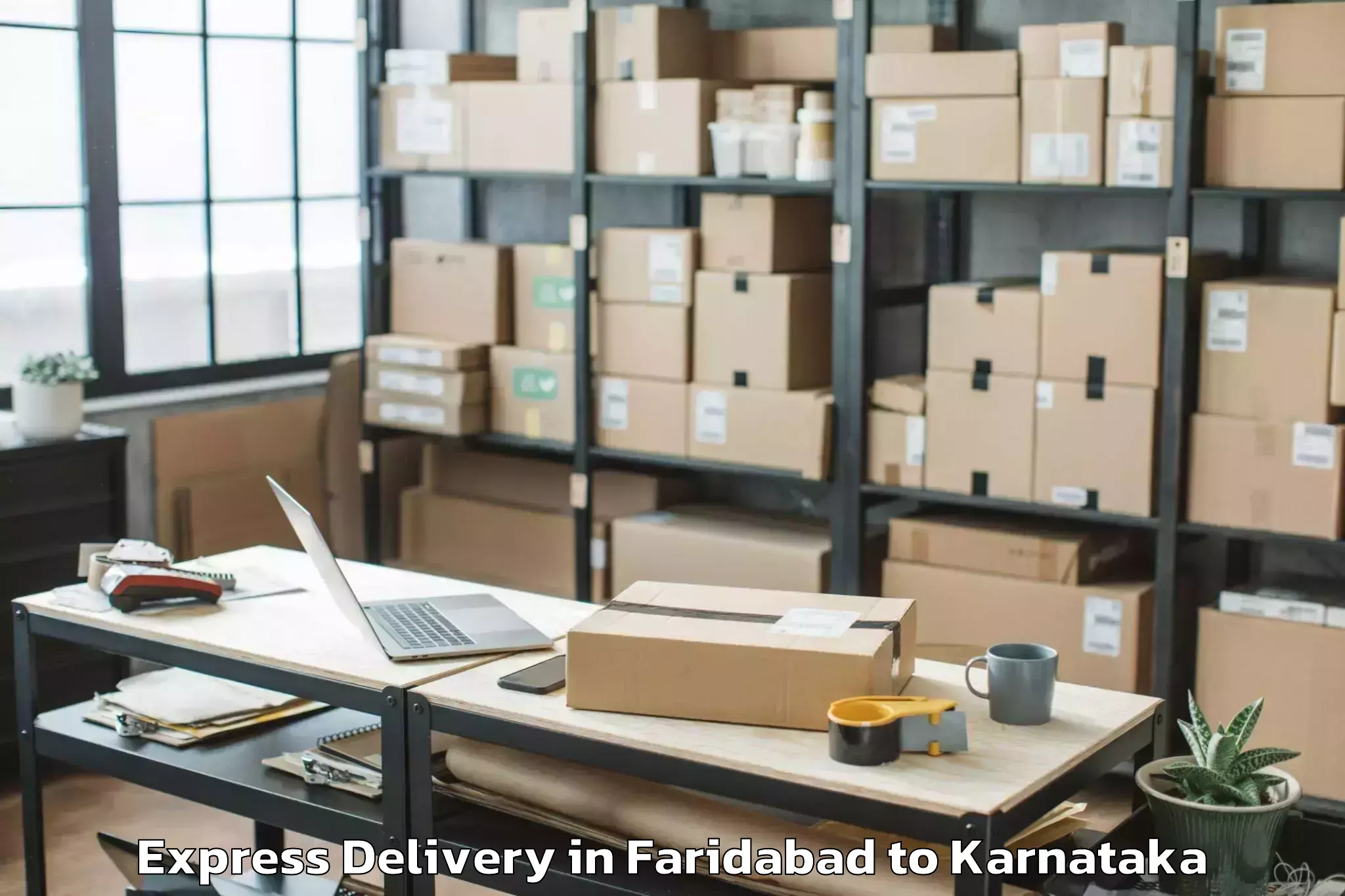 Book Faridabad to Garden City University Bangalo Express Delivery Online